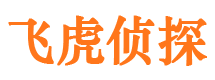 铜陵私家侦探公司